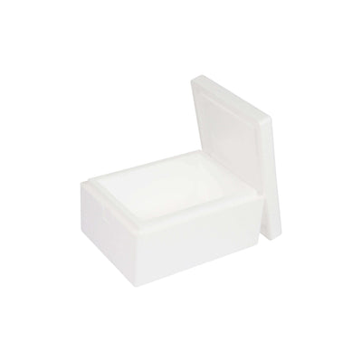 termobox EPS 10 L, 400 x 300 x 200 mm